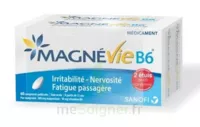 Magnevie B6 100 Mg/10 Mg Comprimés Pelliculés 2plq/60 (120) à Genas